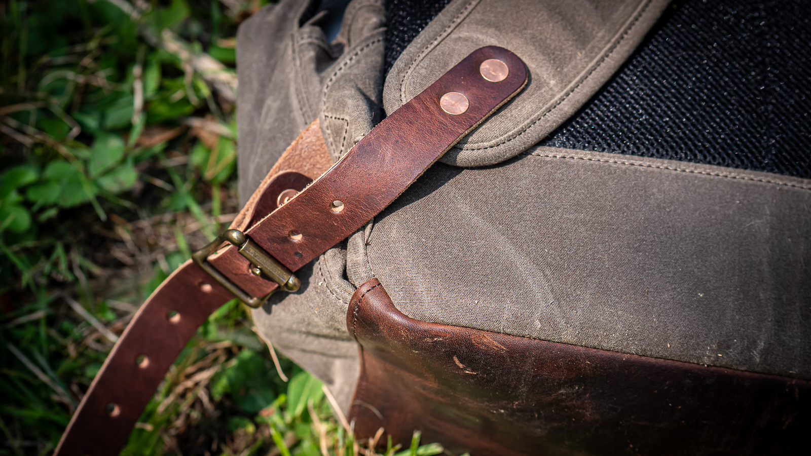 Brands You Should Know | Loyal Stricklin
